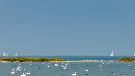 Ijsselmeer