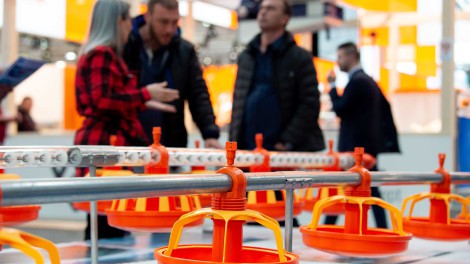 Orange-gelbe Futterschalen werden auf einer Messe Präsentiert