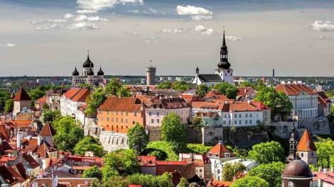 Tallinn Estland Legehenne