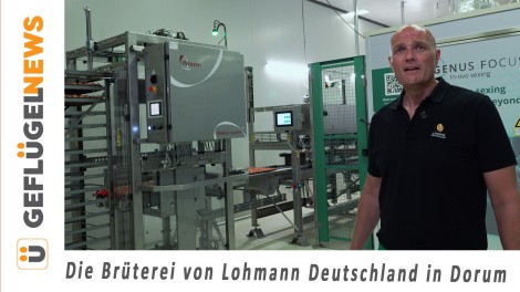 Lohmann Deutschland Dorum