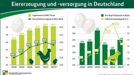 Eiererzeugung BZL