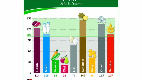 Infografik